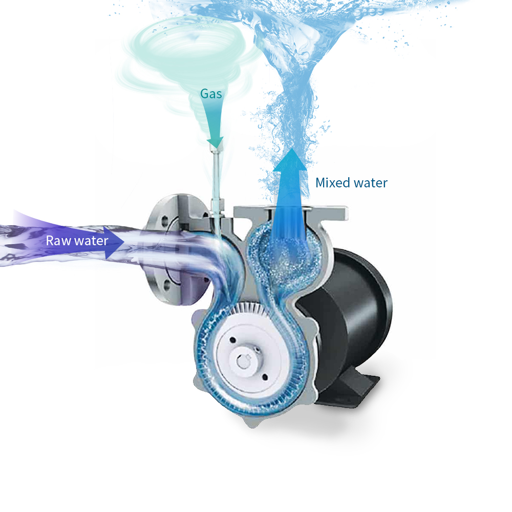How does the Gasliquid Mixing Pump work? QLOZONE